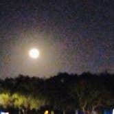 Review photo of Boulder Beach Campground — Lake Mead National Recreation Area by Lori R., January 6, 2026