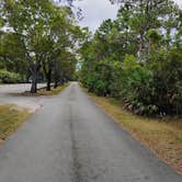 Review photo of Boulder Beach Campground — Lake Mead National Recreation Area by Lori R., January 6, 2026