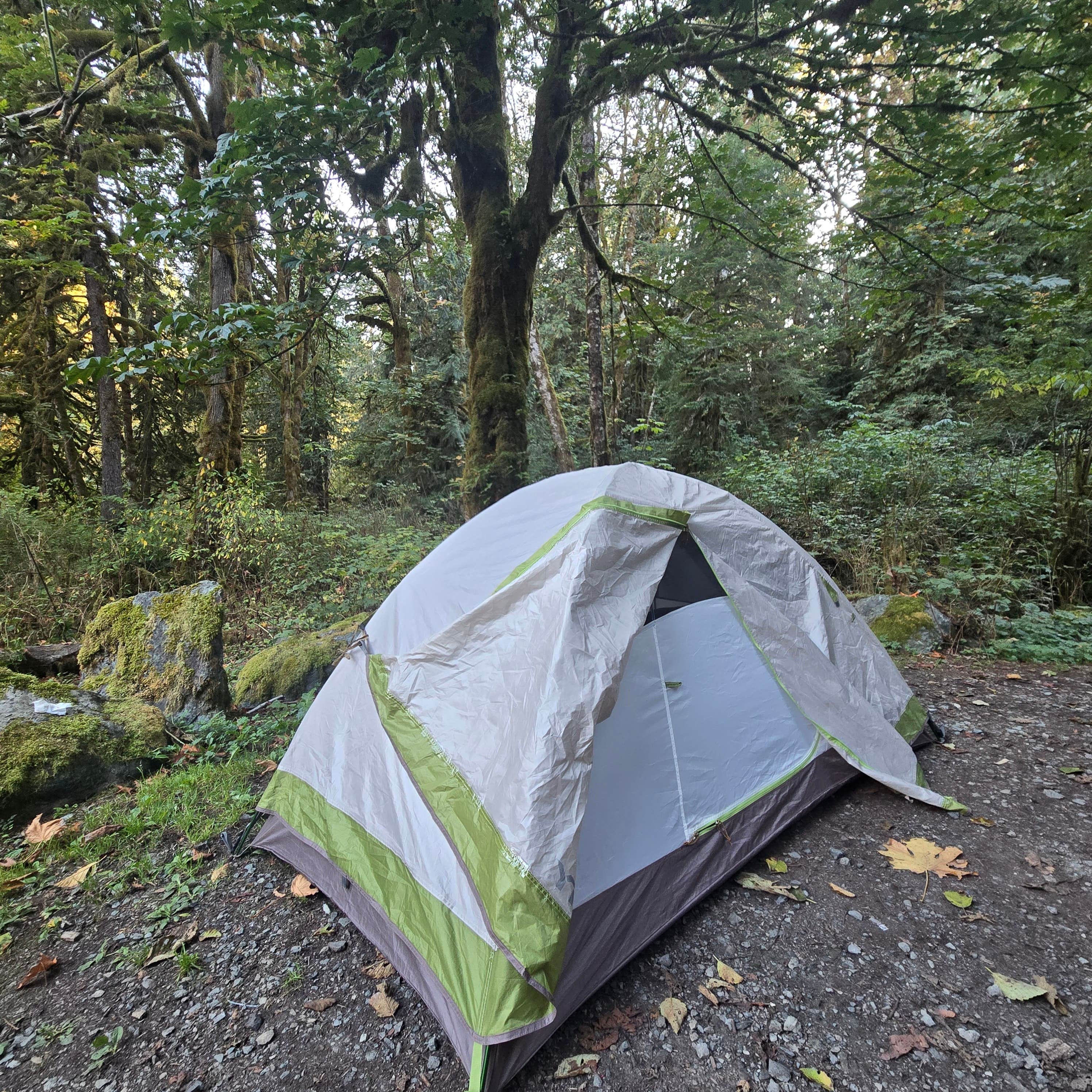 Matt G.'s photo of a dispersed camping area at Boulder Creek Trail Dispersed near Keystone Harbor
