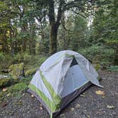 Review photo of Boulder Creek Trail Dispersed by Matt G., September 22, 2026