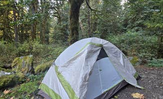 Matt G.'s photo of a dispersed camping area at Boulder Creek Trail Dispersed near Mill Creek, WA