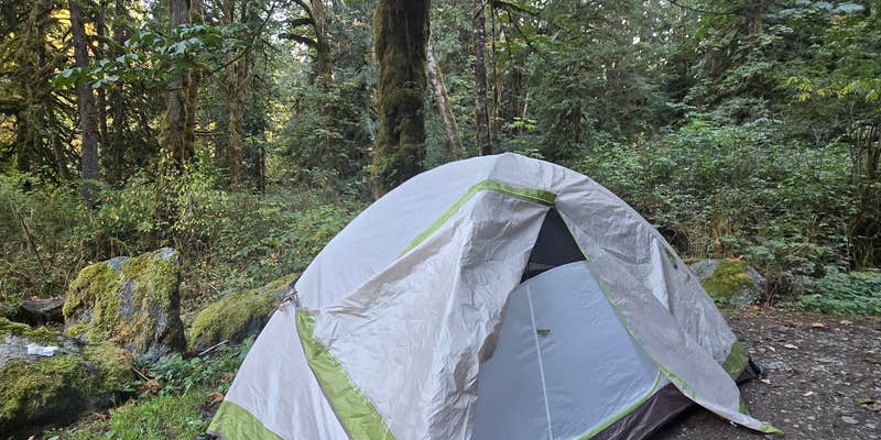 Camper submitted image from Boulder Creek Trail Dispersed