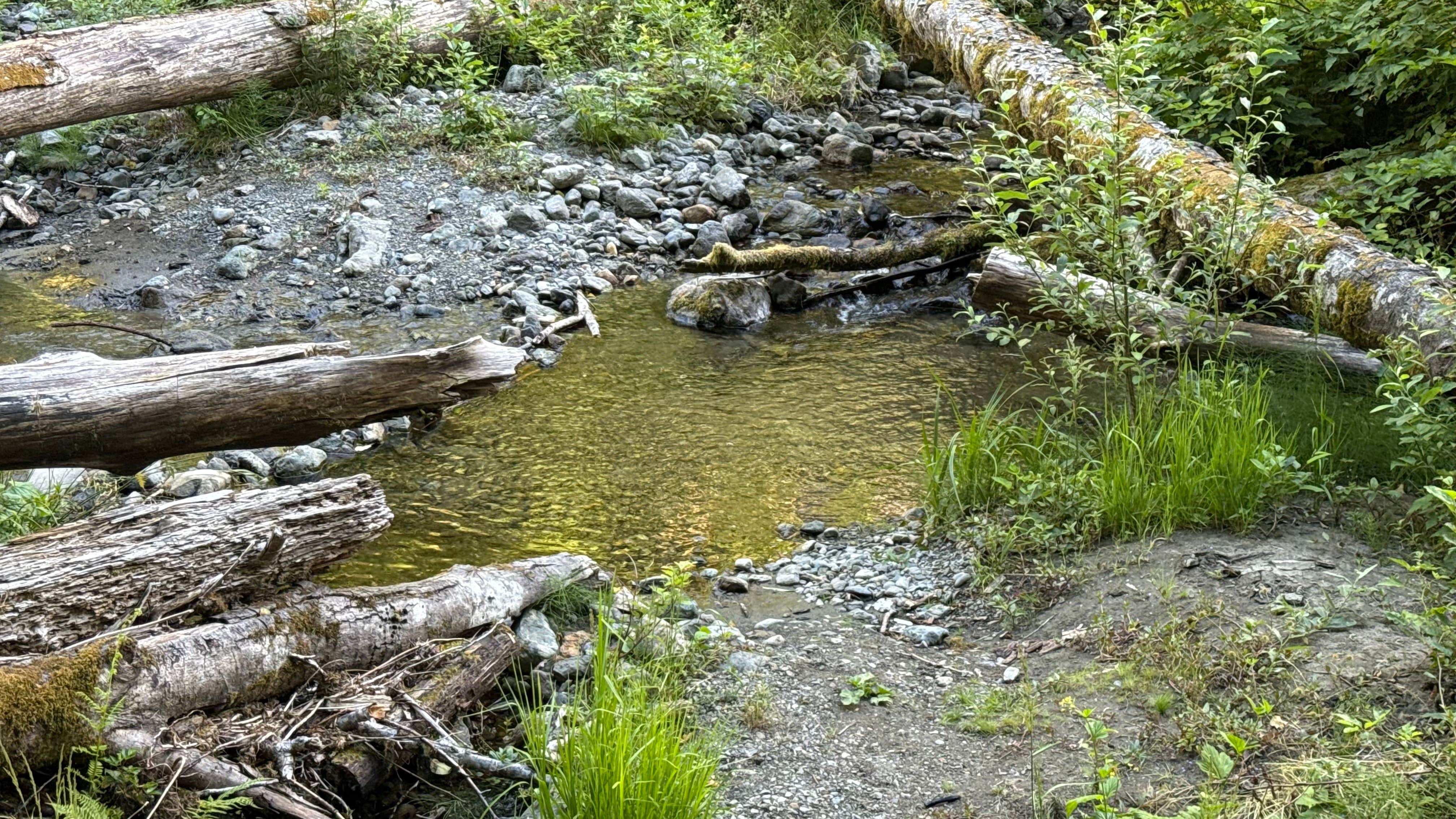 Camper-submitted photo at Boulder Creek Trail Dispersed near Kirkland, WA