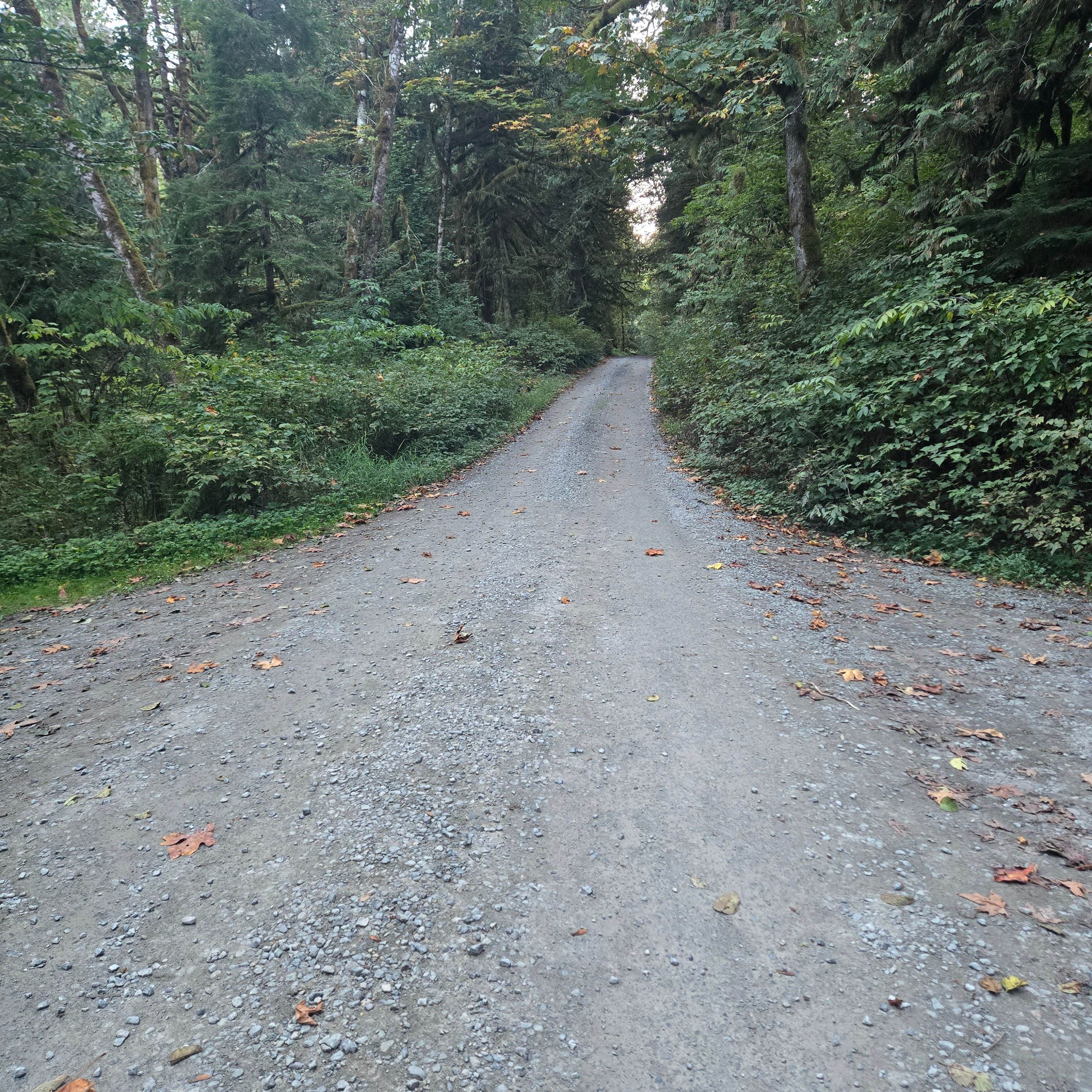 Camper-submitted photo at Boulder Creek Trail Dispersed near Keystone Harbor