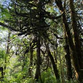 Review photo of Boulder Creek Trail Dispersed by David B., May 24, 2026