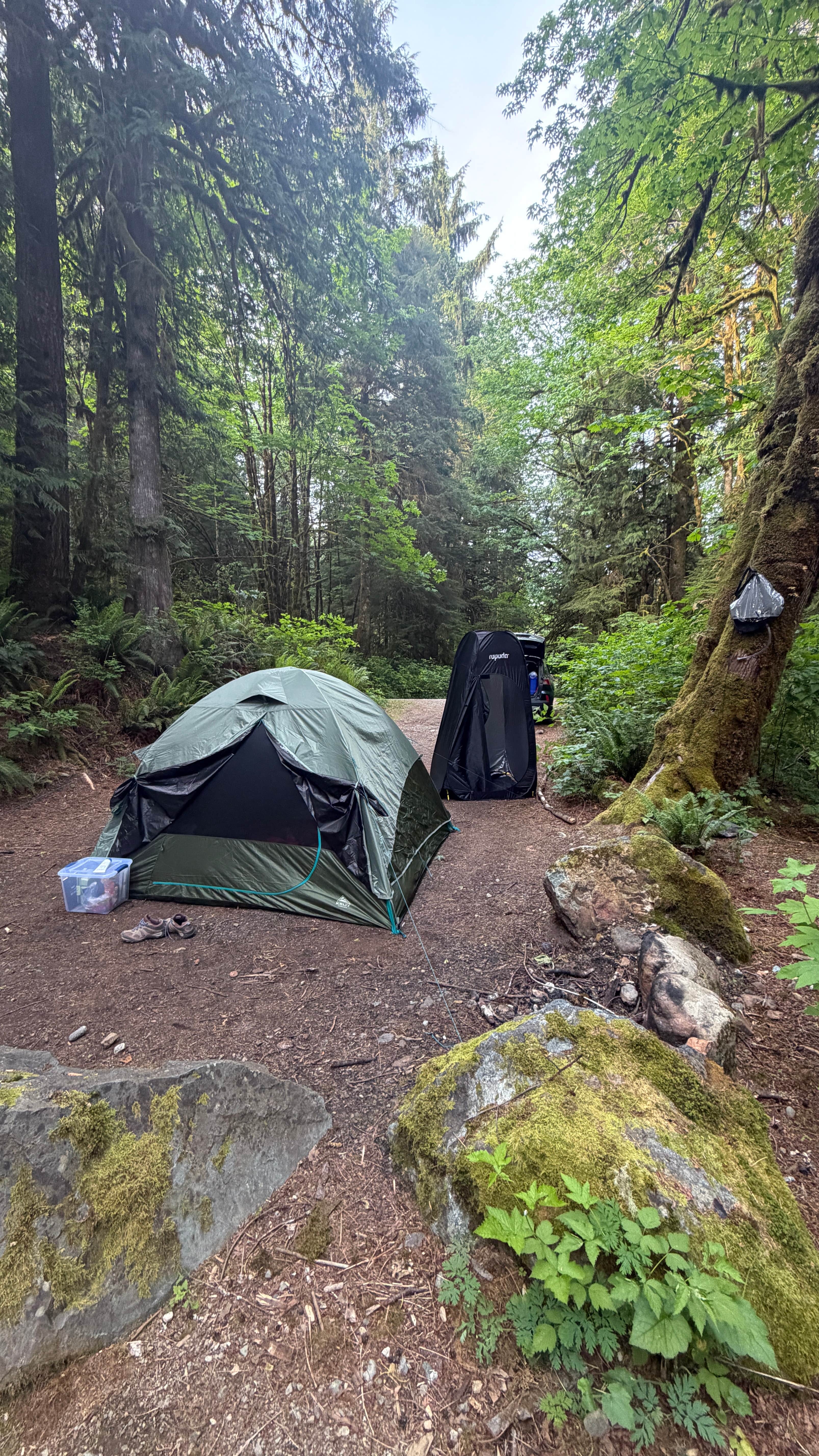 Camper-submitted photo at Boulder Creek Trail Dispersed near Oak Harbor, WA