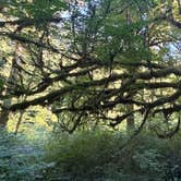 Review photo of Boulder Creek Trail Dispersed by Darron S., July 7, 2026