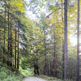 Review photo of Boulder Creek Trail Dispersed by Vinny D., June 25, 2026