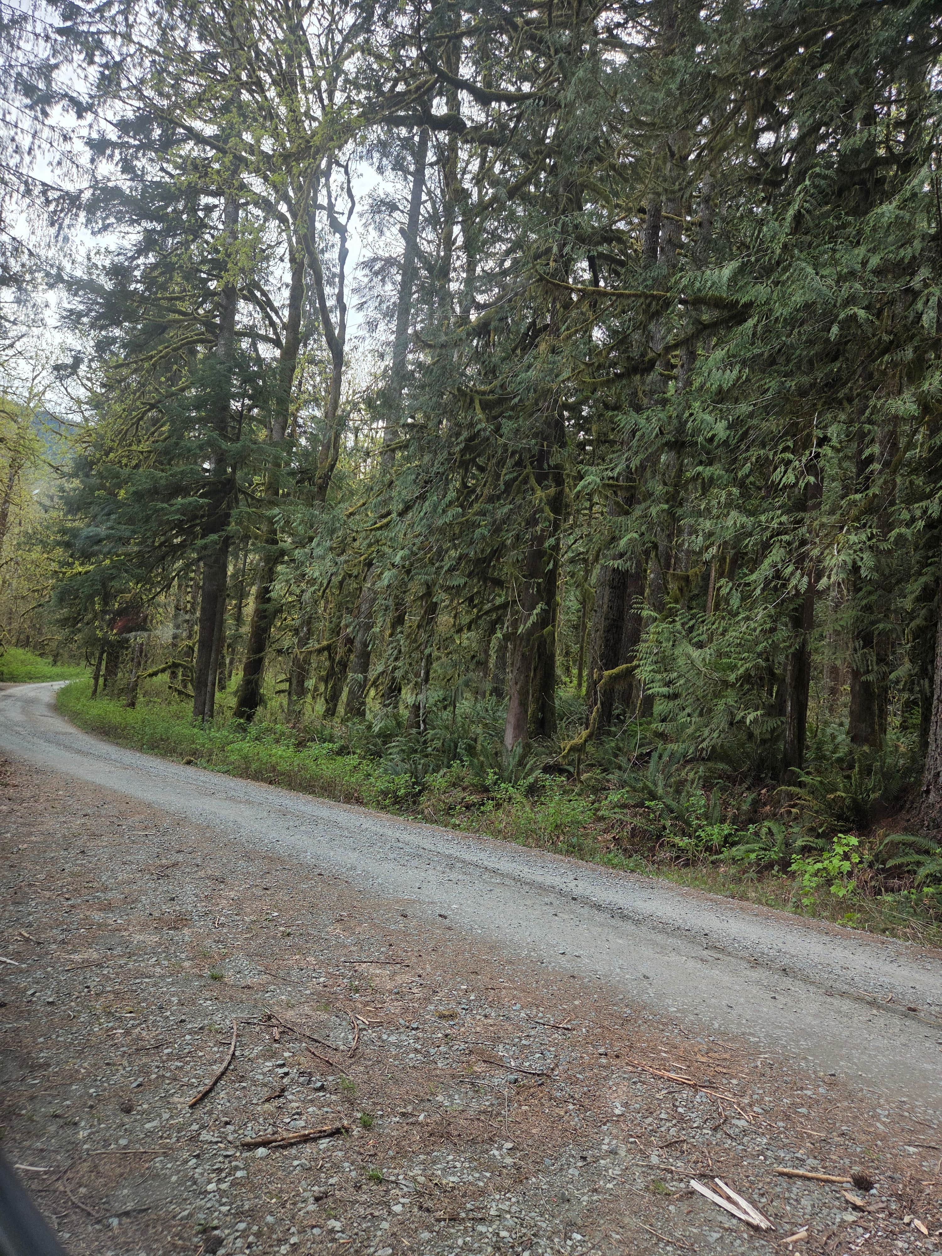 Boulder Creek Trail Dispersed
