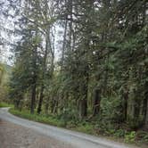 Review photo of Boulder Creek Trail Dispersed by Thomas O., April 19, 2026