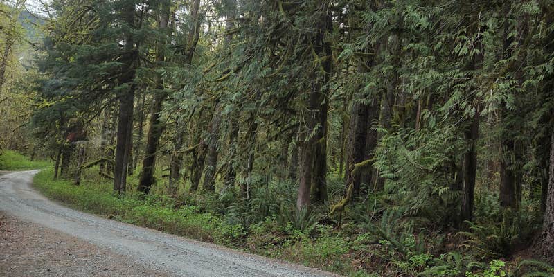 Camper submitted image from Boulder Creek Trail Dispersed