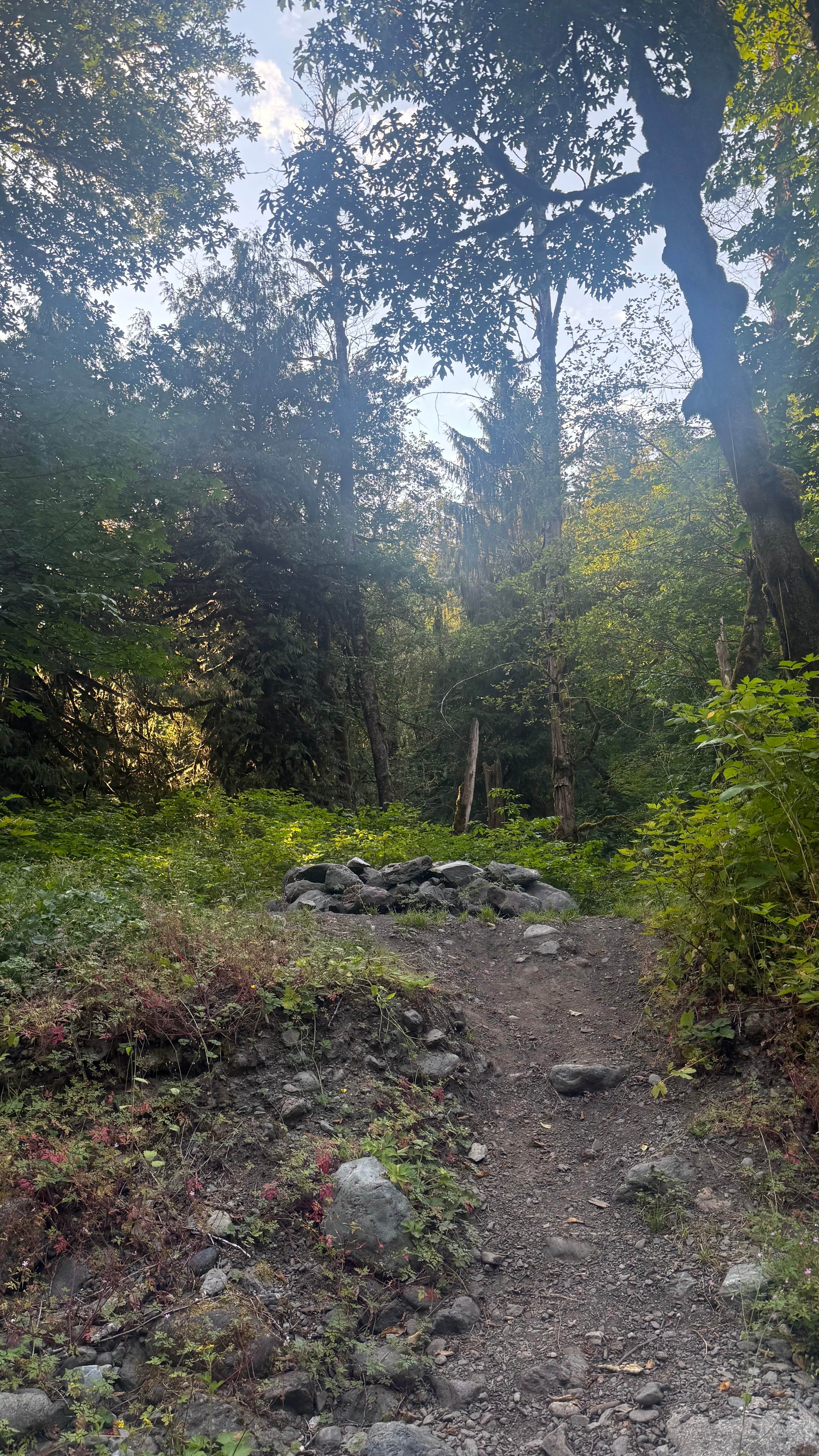 Camper-submitted photo at Boulder Creek Trail Dispersed near Mukilteo, WA