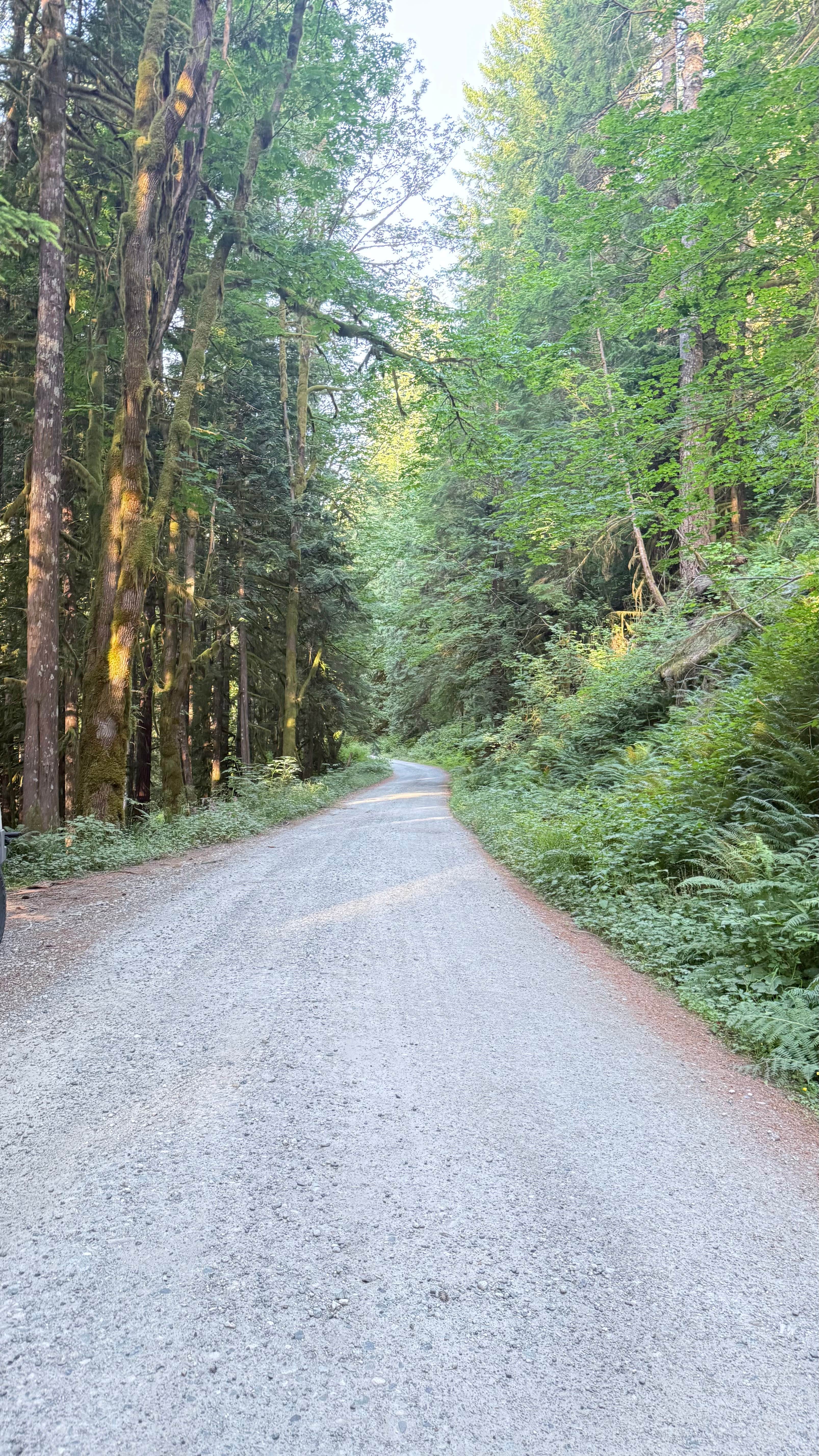 Camper-submitted photo at Boulder Creek Trail Dispersed near Snohomish, WA