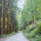 Review photo of Boulder Creek Trail Dispersed by Vinny D., June 25, 2026