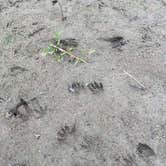 Review photo of Boulder Lake Campground — Wakonda State Park by Kate E., October 16, 2025
