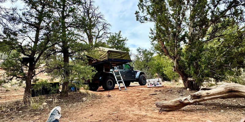 Camper submitted image from Boulder utah