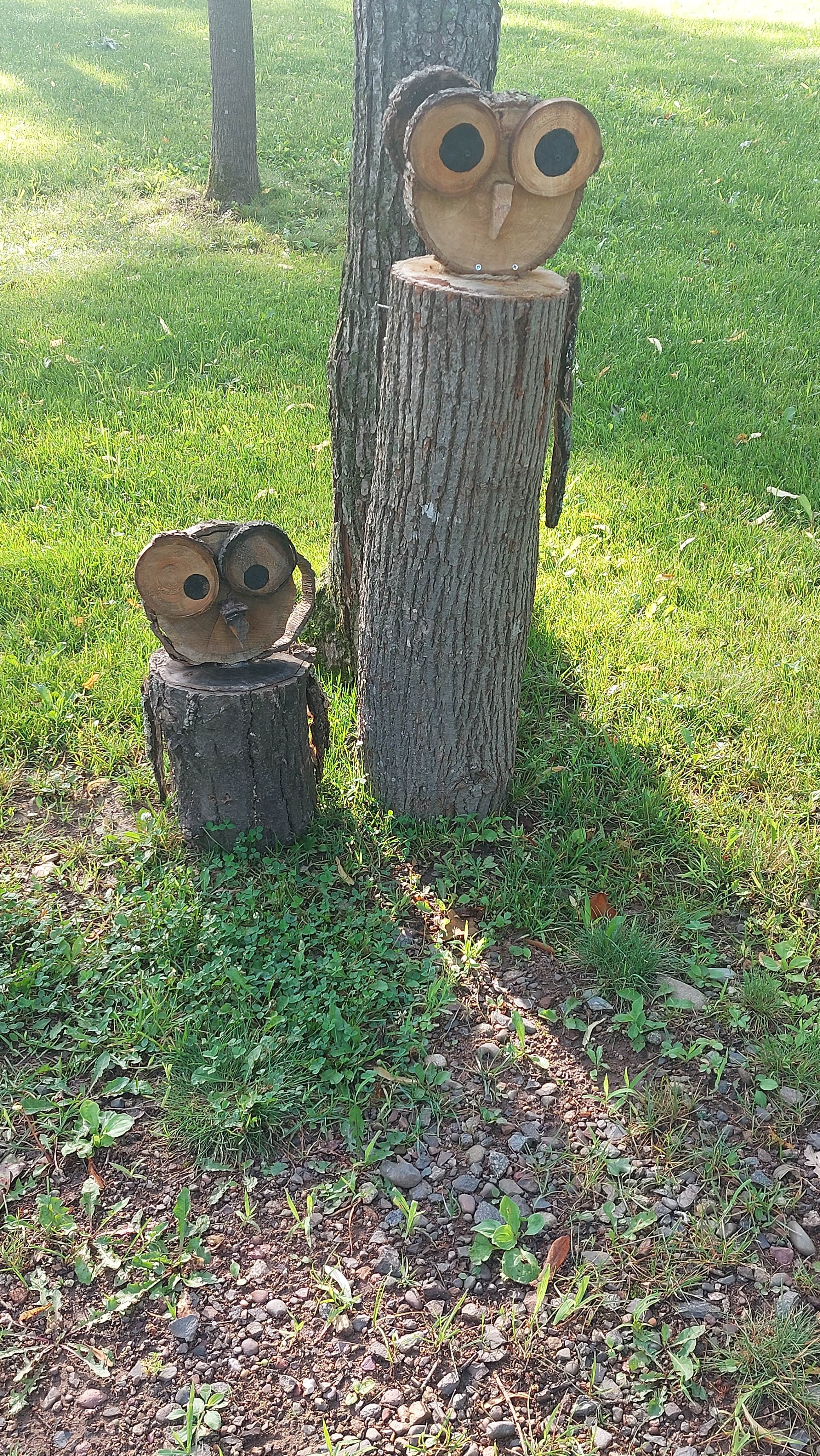 Camper submitted image from Boulder Woods RV Park - 4