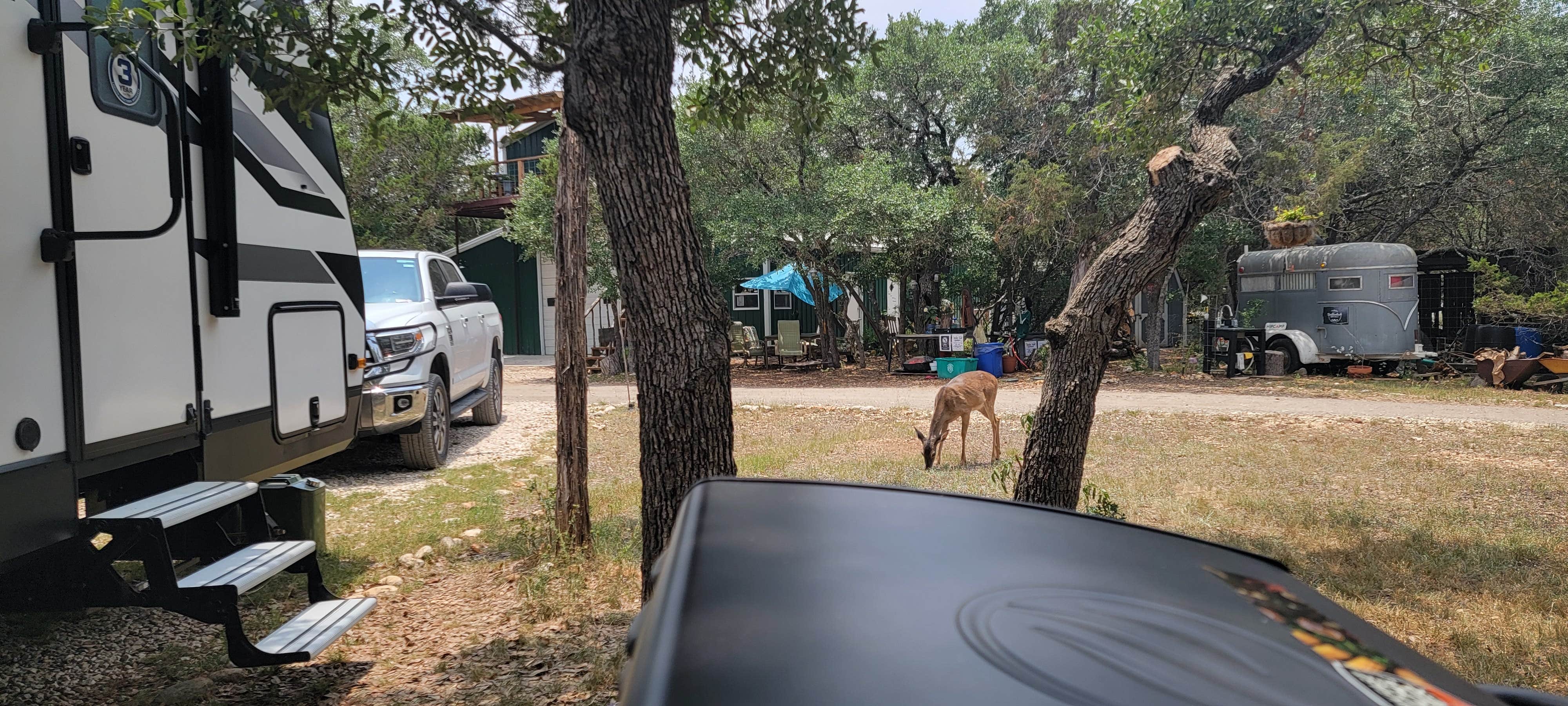 Arthur H.'s photo of camping with pets at Boulderdash Cabin & RV Park near Castroville, TX