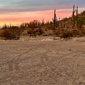Review photo of Boulders OHV Area by Caitlin S., May 15, 2024