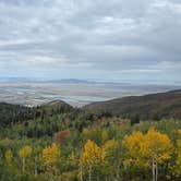 Review photo of Bountiful B Dispersed by Calder P., September 20, 2025