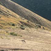 Review photo of Bountiful B Dispersed by Shelby N., August 22, 2026