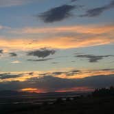 Review photo of Bountiful B Dispersed by Shelby N., August 22, 2026