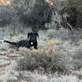 Review photo of Bouse Wash Rest Area - Westbound by Amanda M., March 15, 2026