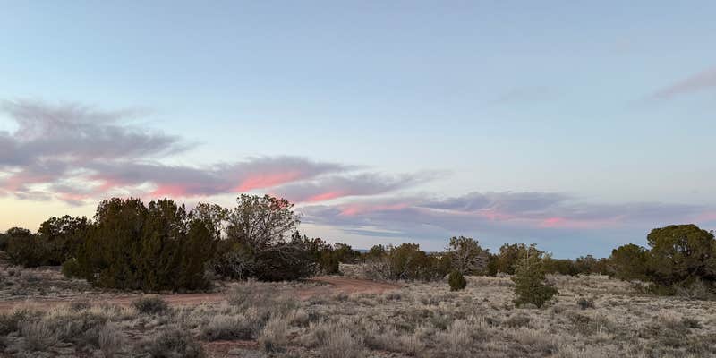 Camper submitted image from Bouse Wash Rest Area - Westbound