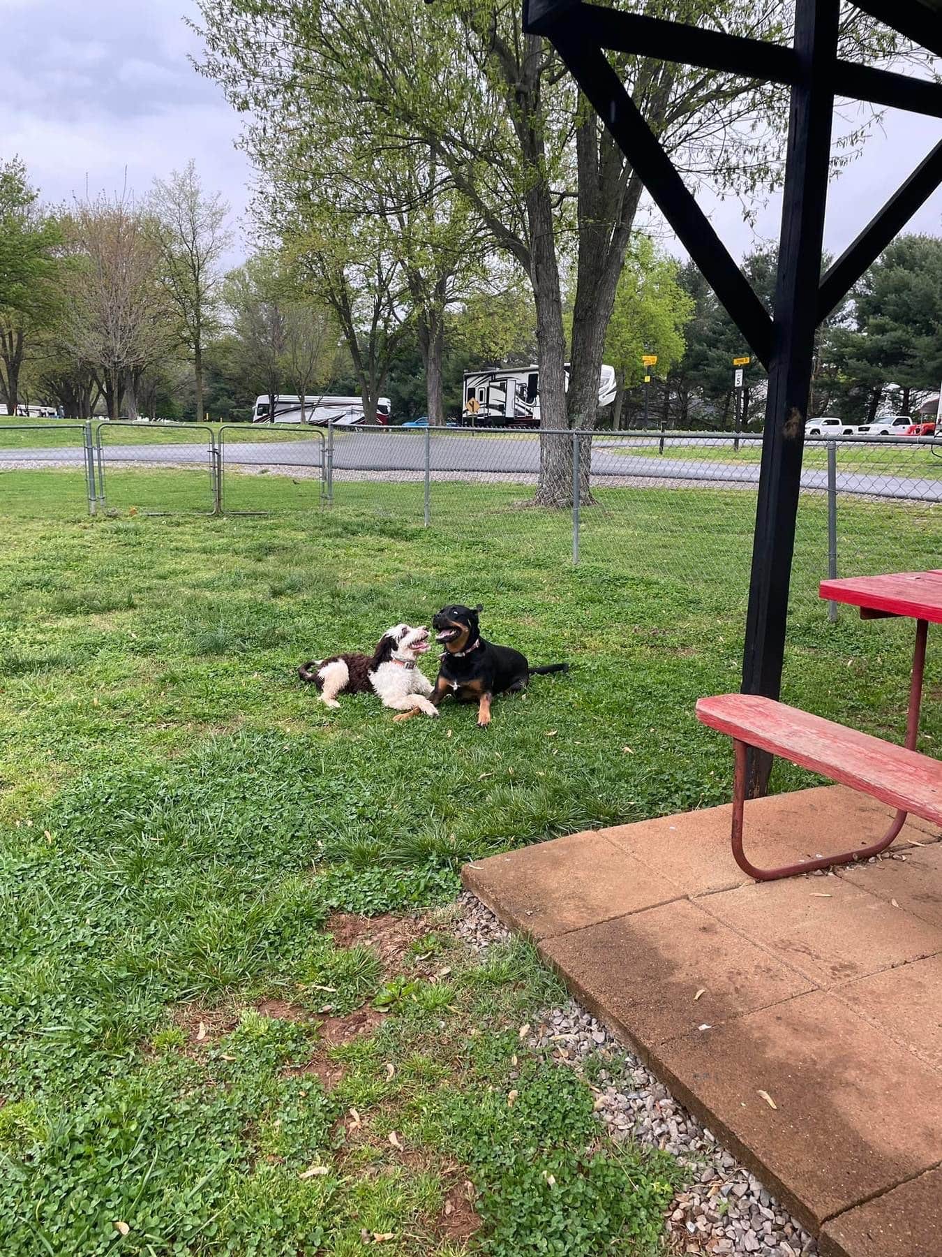 Eleanor the Airstream R.'s photo of camping with pets at Bowling Green KOA near Russellville, KY
