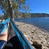 Review photo of Bowman Lake Dispersed by Shawn M., September 6, 2024