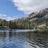 Review photo of Bowman Lake Dispersed by Chris N., July 21, 2024