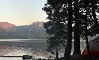 Autumn L.'s photo of tent camping at Bowman Lake Dispersed near Clio, CA