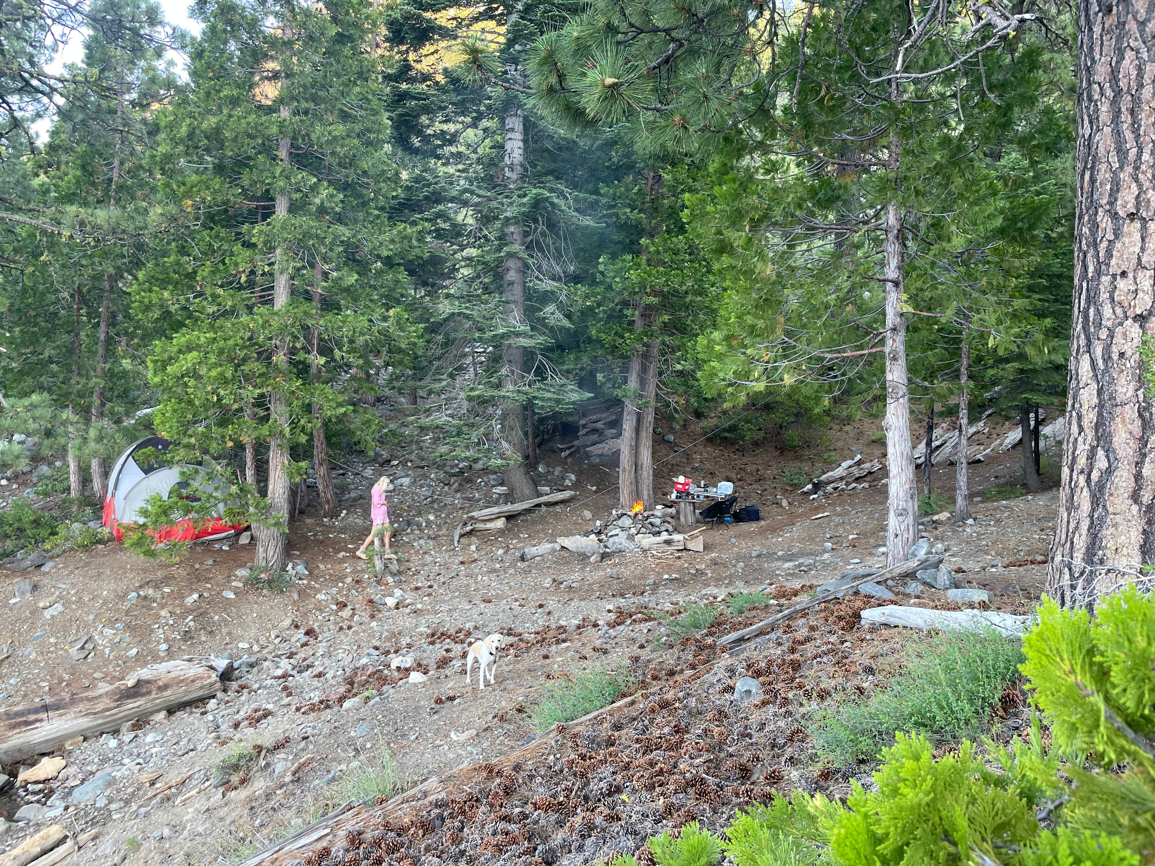 Camper-submitted photo at Bowman Lake Dispersed near Colfax, CA