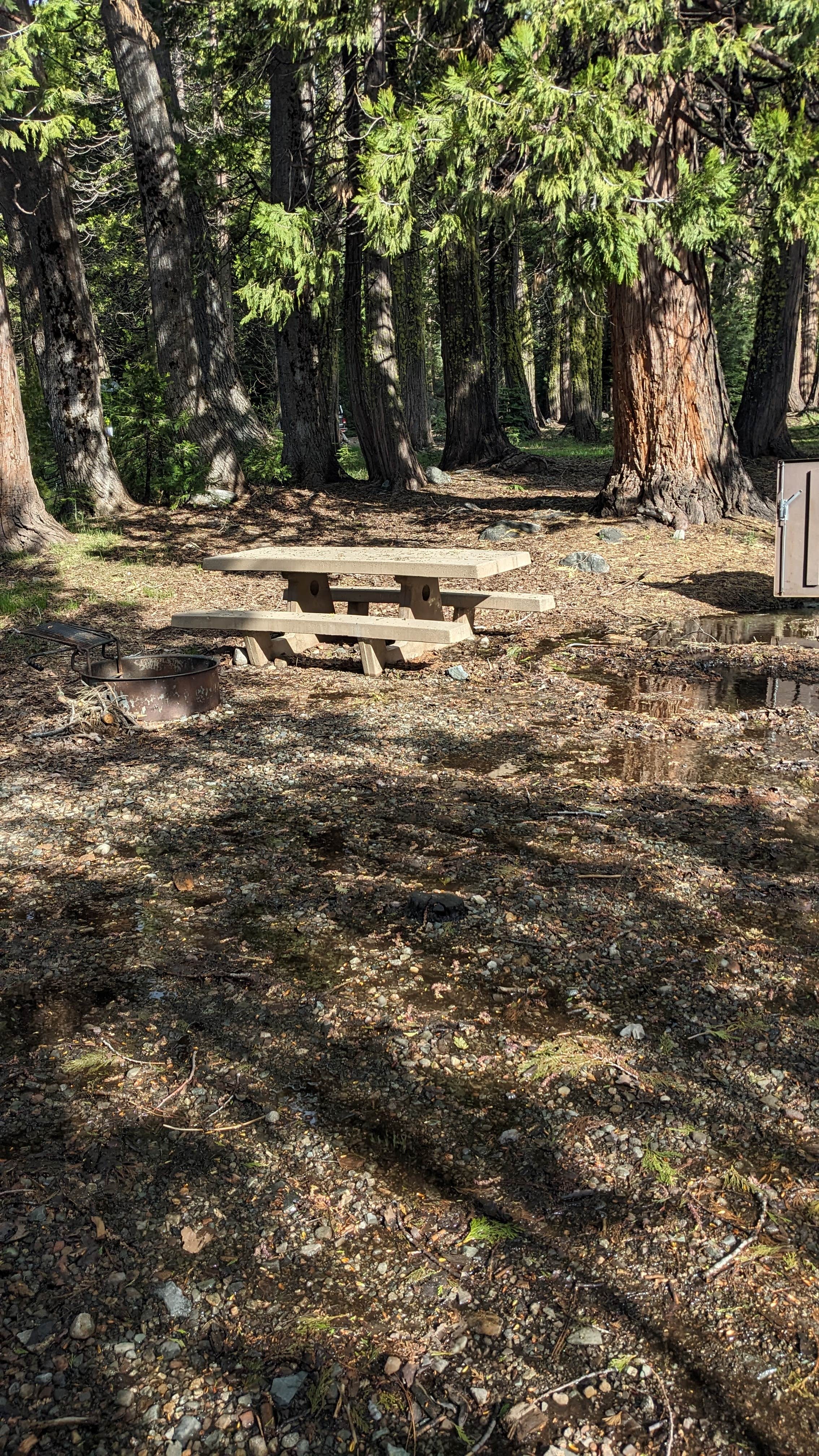 Camper submitted image from Bowman Lake Dispersed - 5