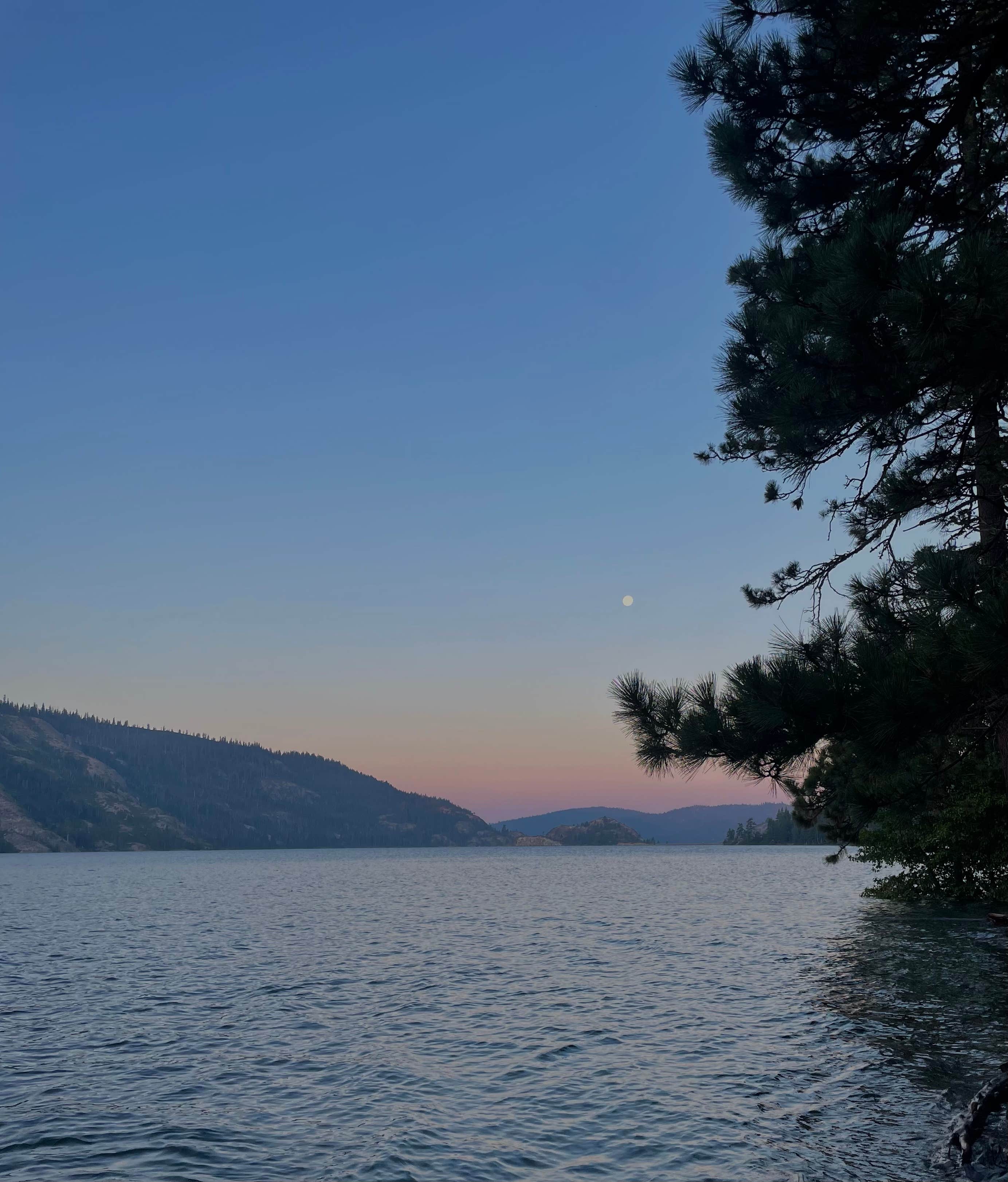 Bowman Lake Dispersed