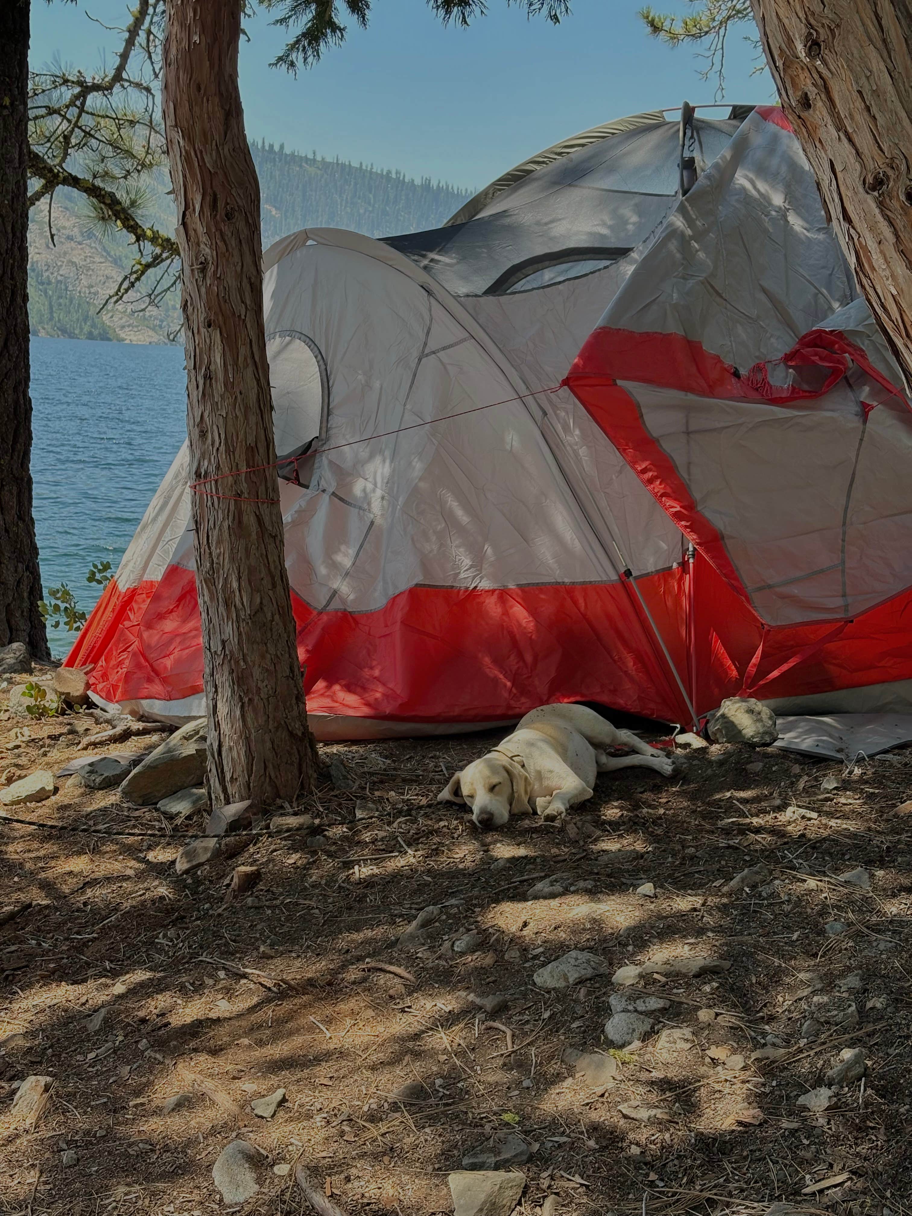 Camper-submitted photo at Bowman Lake Dispersed near Colfax, CA