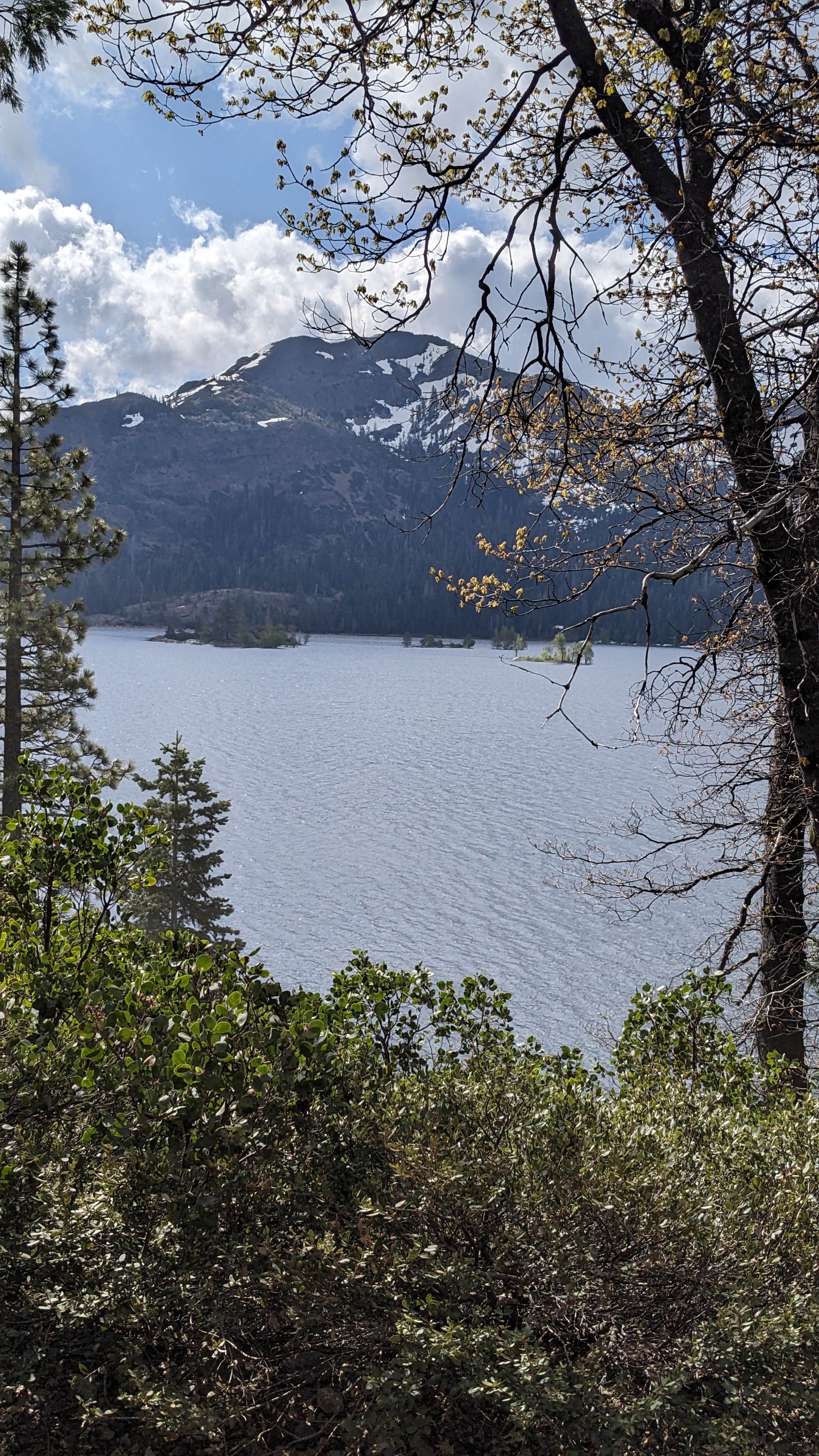 Chris N.'s photo of a dispersed camping area at Bowman Lake Dispersed near Blairsden-Graeagle, CA