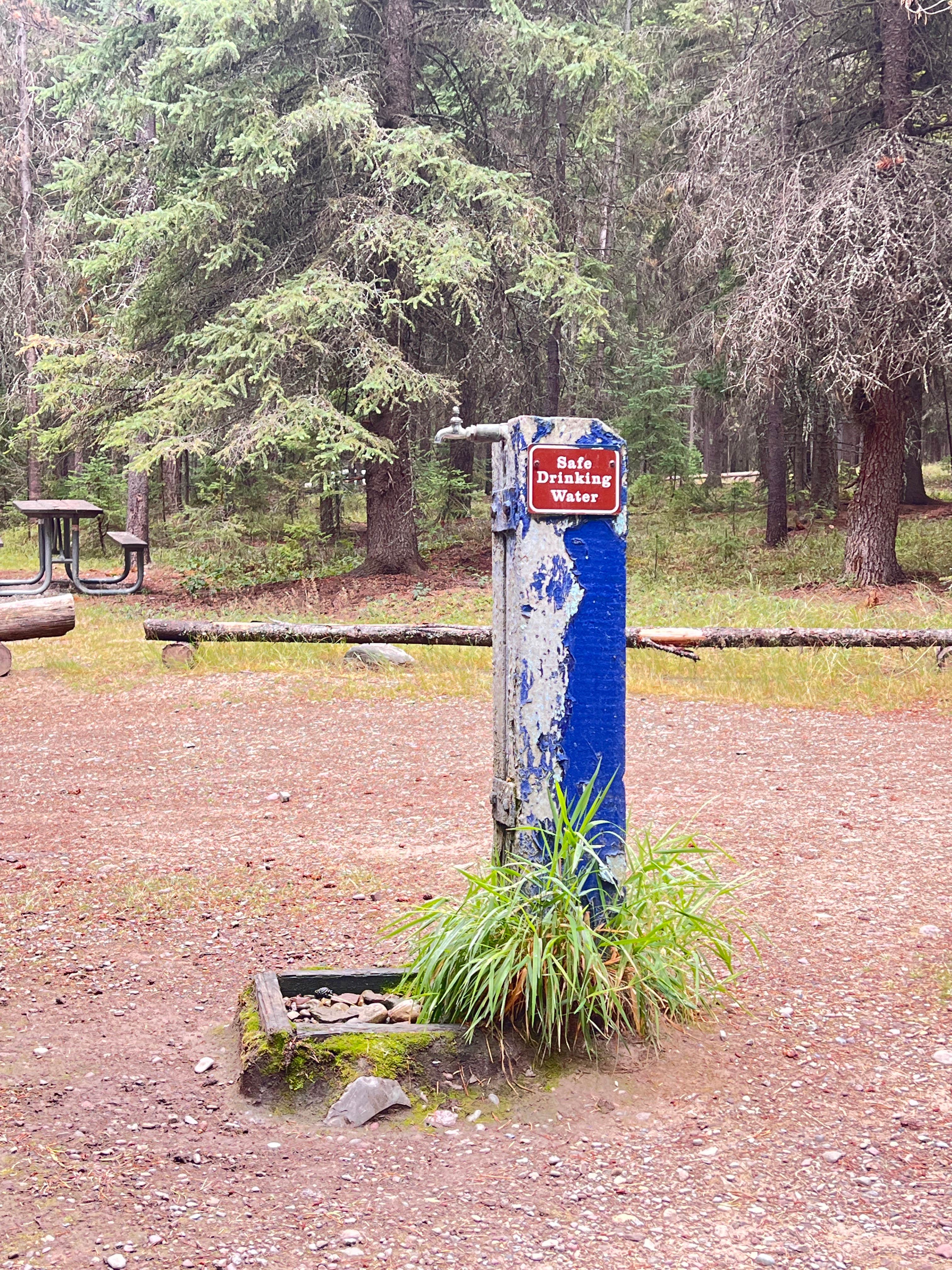 Camper-submitted photo at Bowman Lake Head Wilderness Campsite — Glacier National Park near Polebridge, MT