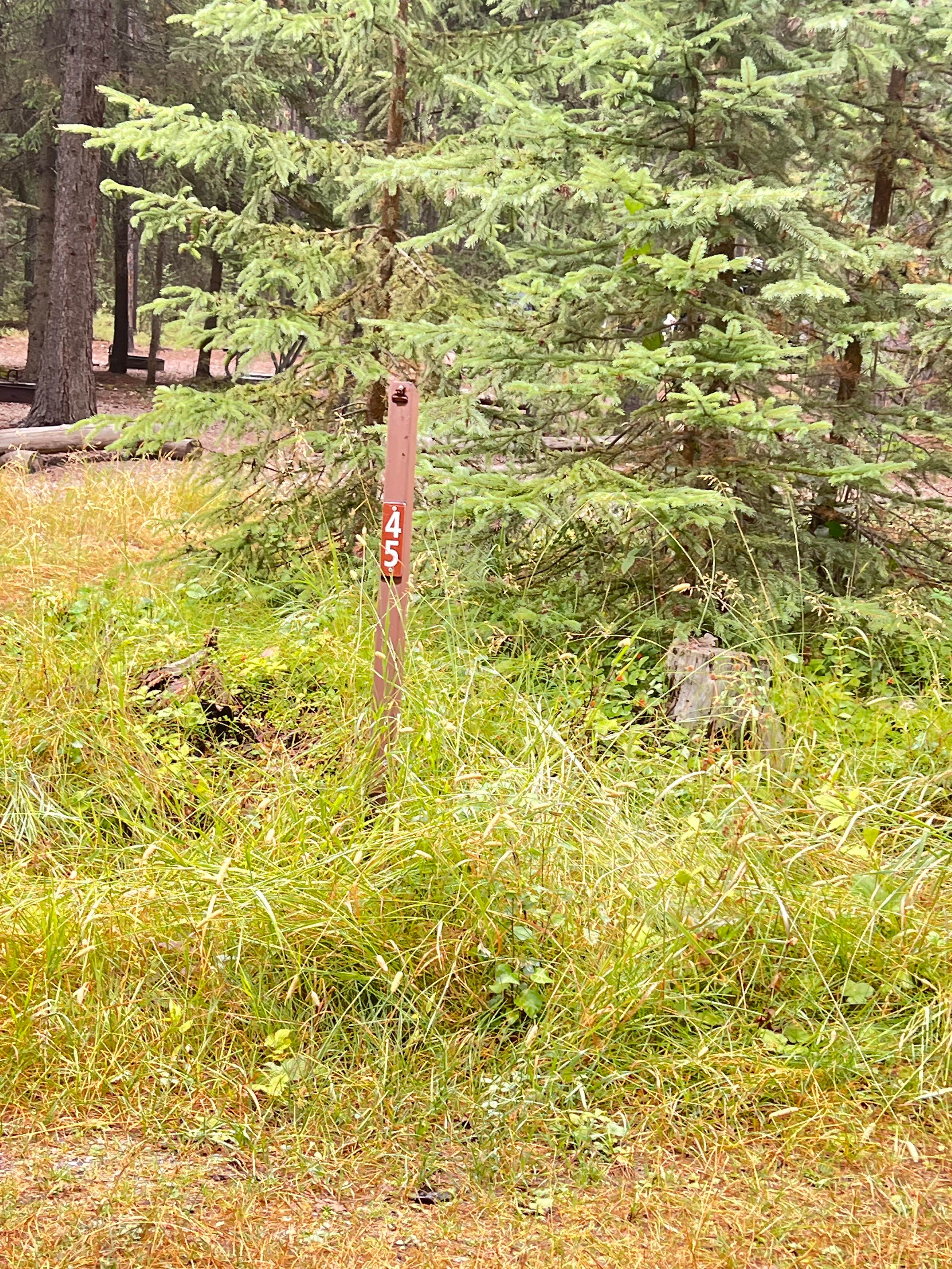 Camping near Bowman Lake Campground — Glacier National Park: Bowman Lake Head Wilderness Campsite — Glacier National Park, Polebridge, Montana