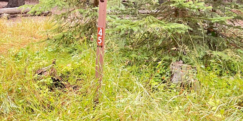 Camper submitted image from Bowman Lake Head Wilderness Campsite — Glacier National Park