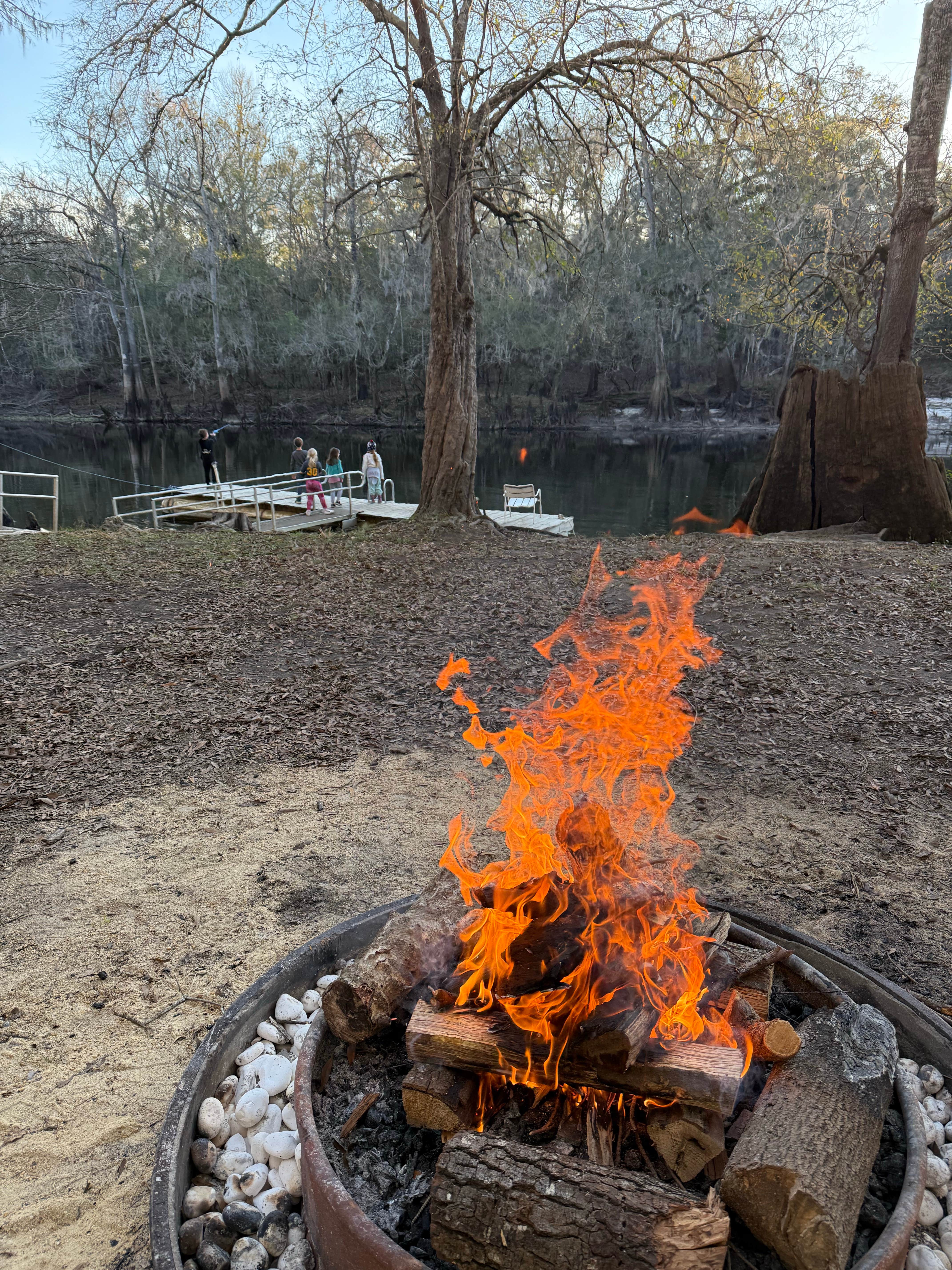 Camper submitted image from Bowman's Landing - 1