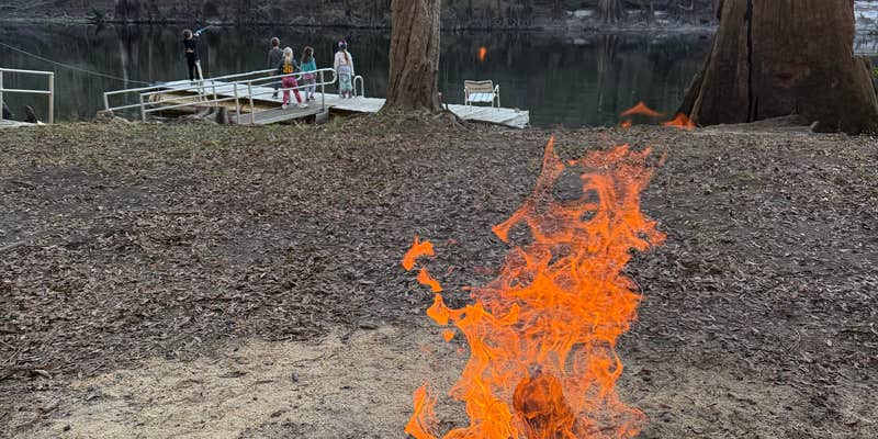 Camper submitted image from Bowman's Landing