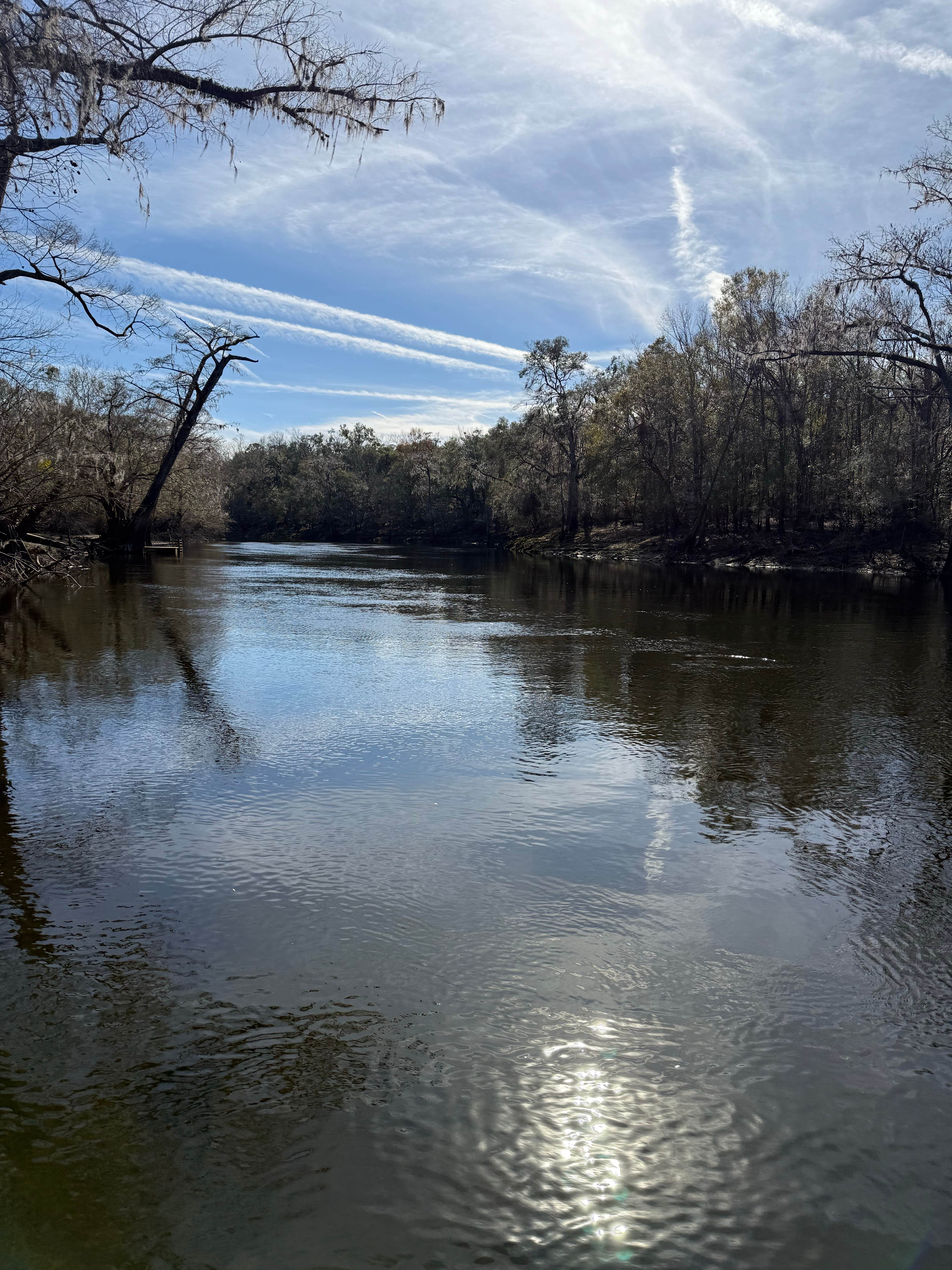 Camper-submitted photo at Bowman's Landing near Fort White, FL