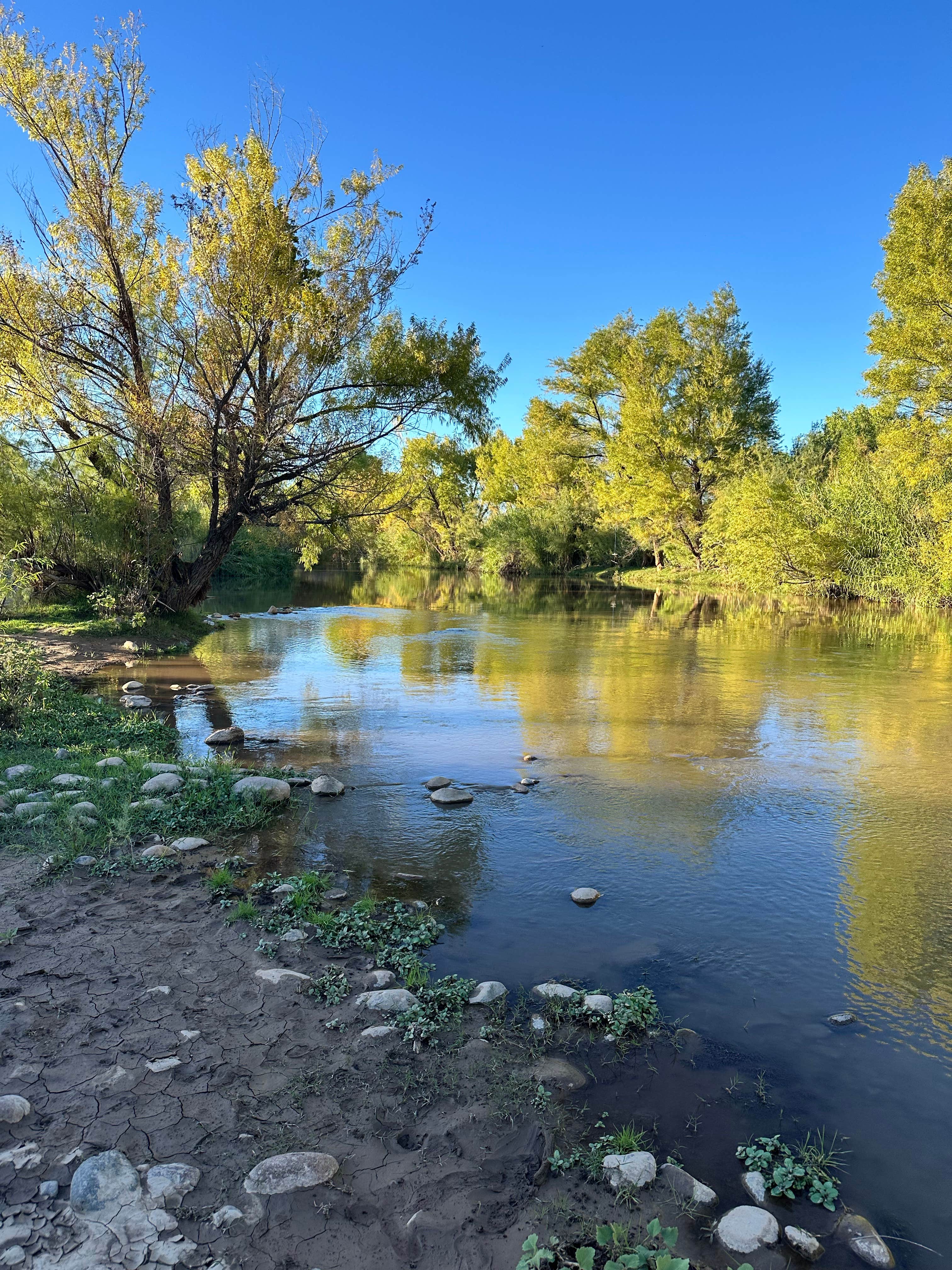 Camper-submitted photo at Box Bar Road Dispersed near Salt River, AZ