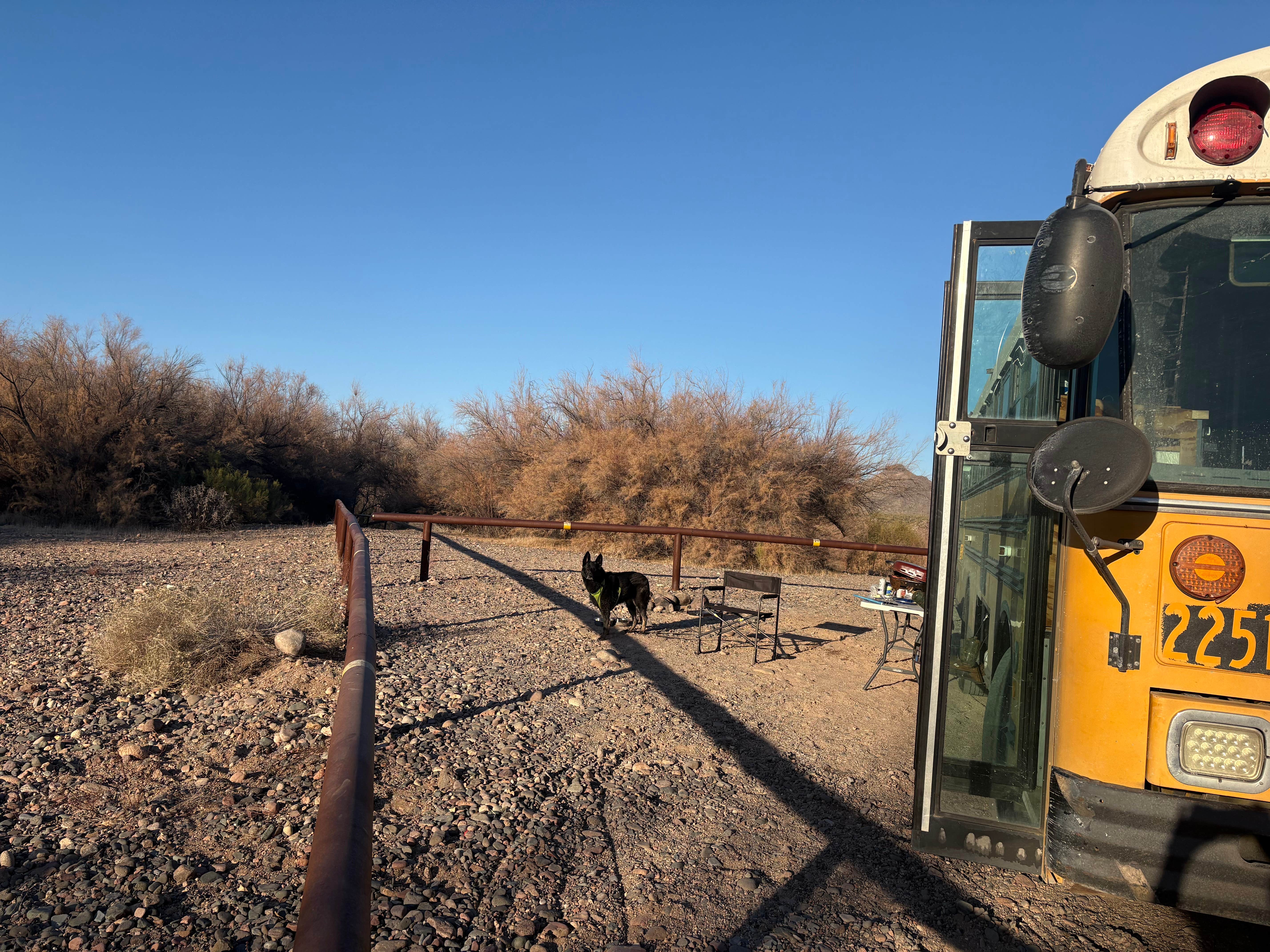 Conner F.'s photo of camping with pets at Box Bar Road Dispersed near Rio Verde, AZ