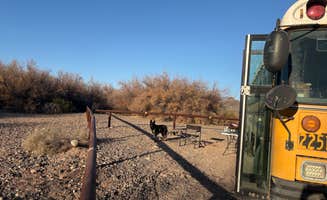 Conner F.'s photo of camping with pets at Box Bar Road Dispersed near Scottsdale, AZ