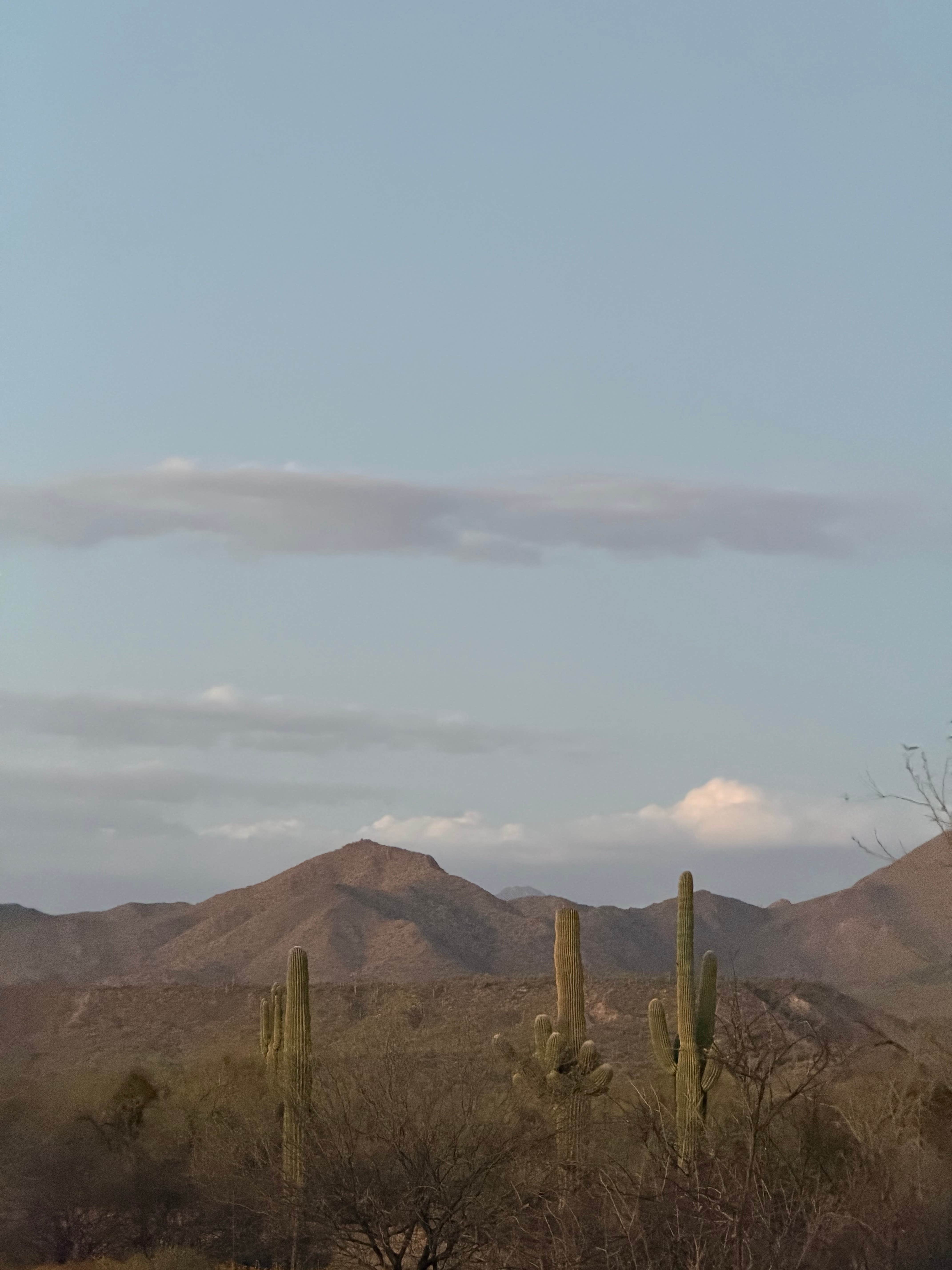 Camper-submitted photo at Box Bar Road Dispersed near Rio Verde, AZ