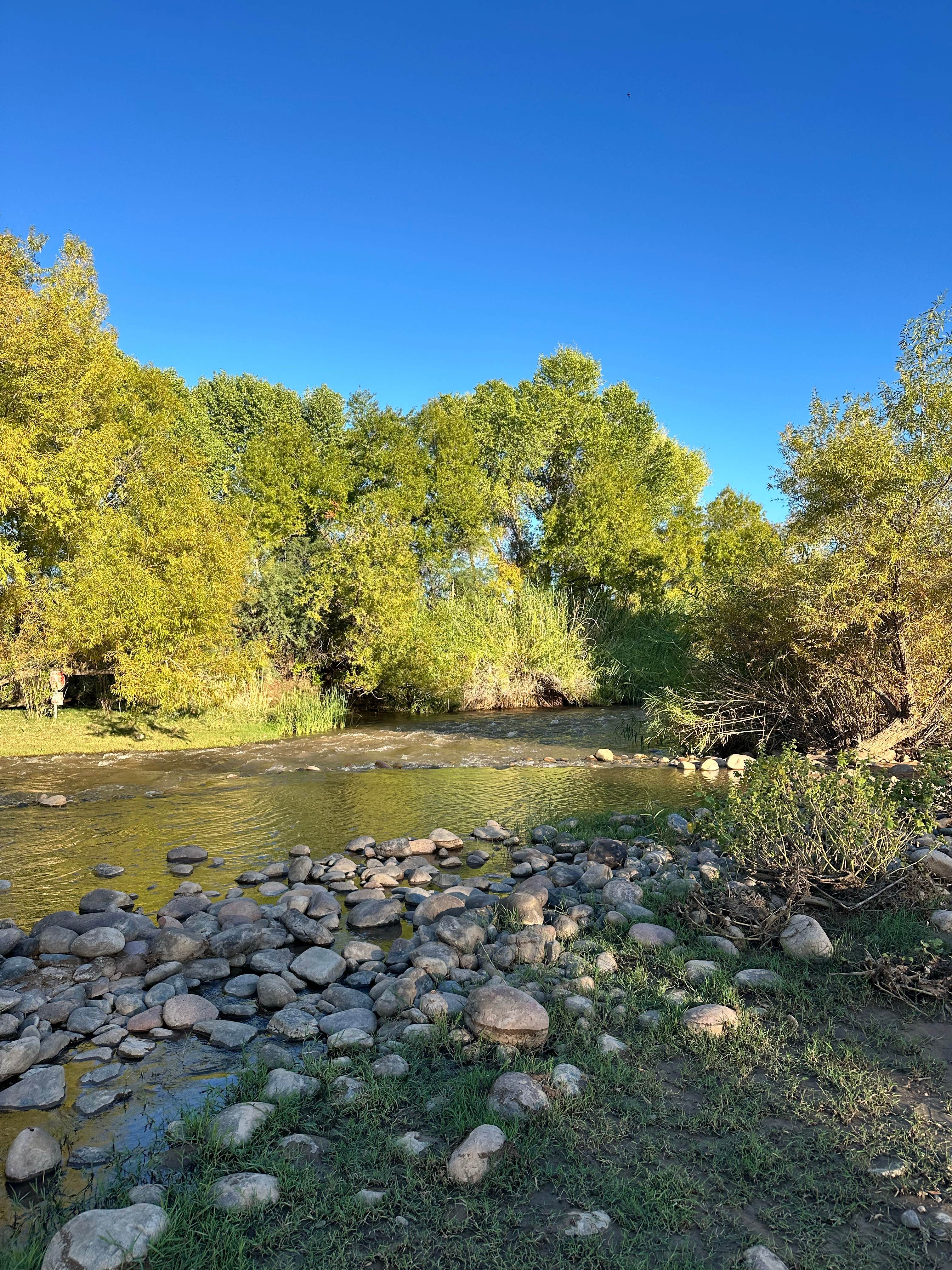 Box Bar Road Dispersed