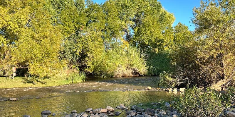 Camper submitted image from Box Bar Road Dispersed