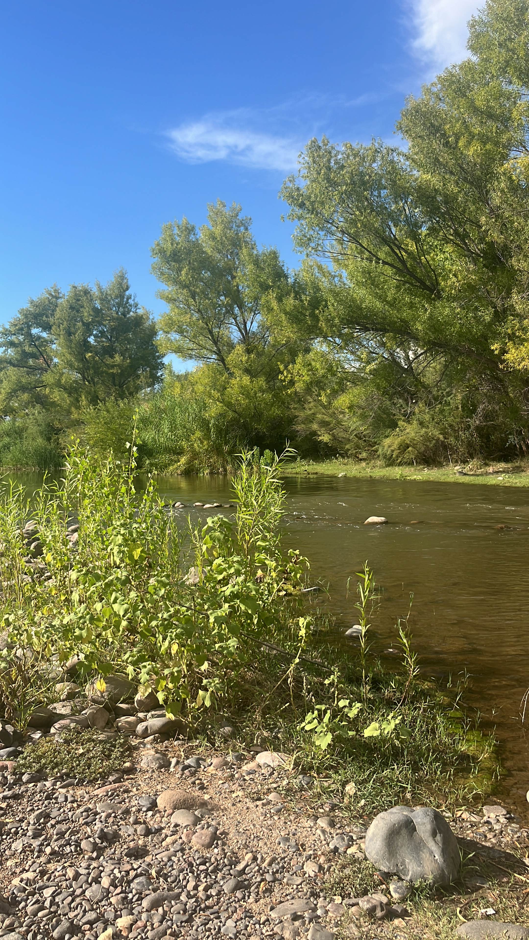 Camping near Tonto National Forest Riverside Campground: Box Bar Shoreline Area and River Access Point, Rio Verde, Arizona